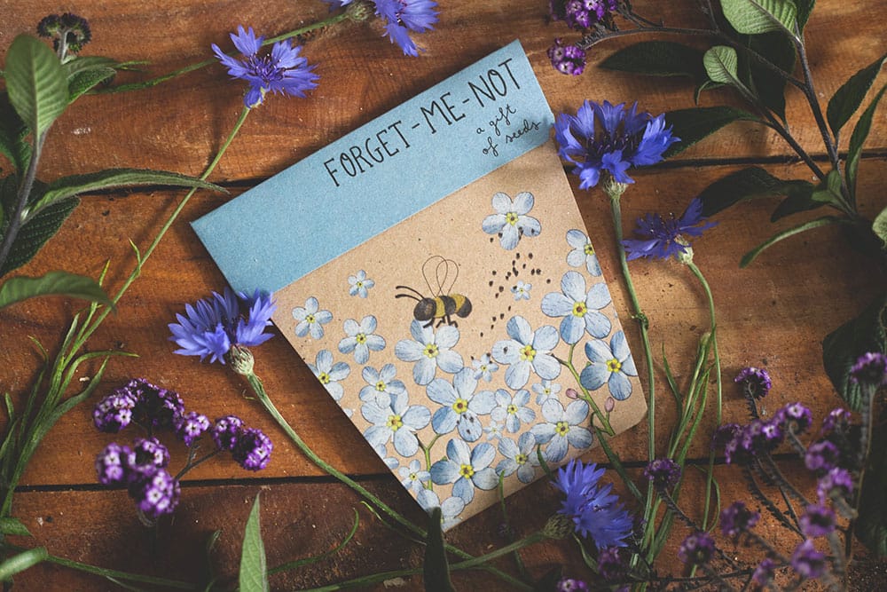 Sow ‘n’ Sow Seeds