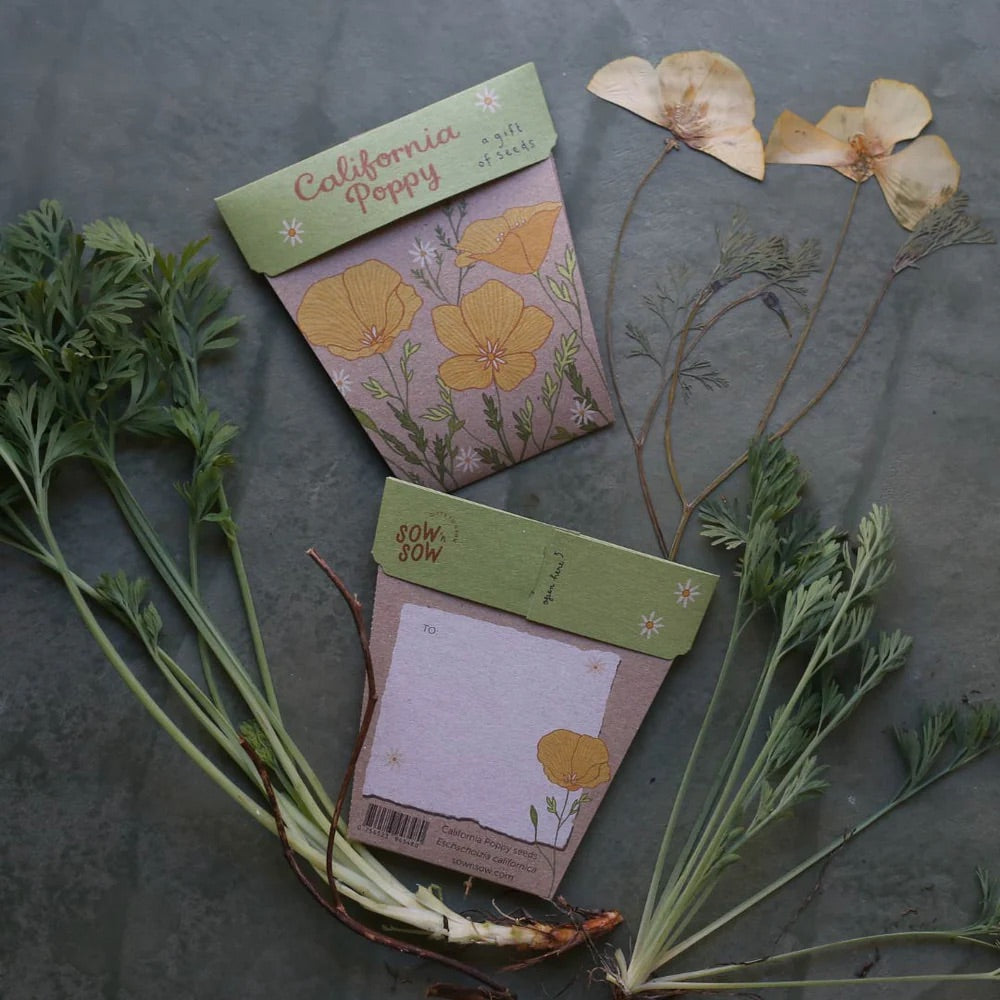 Sow ‘n’ Sow Seeds
