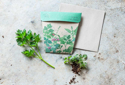 Sow ‘n’ Sow Seeds