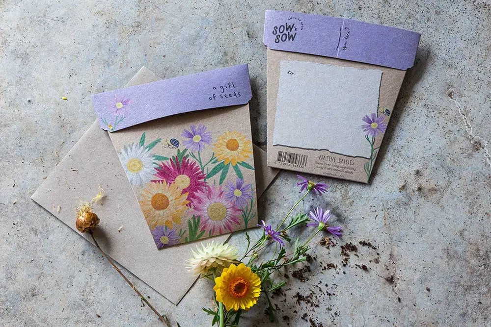 Sow ‘n’ Sow Seeds