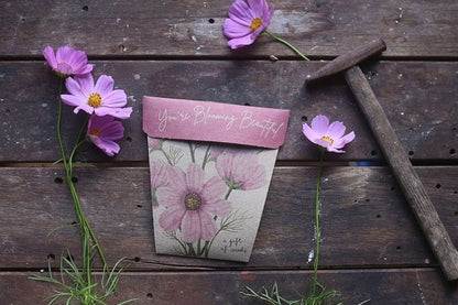 Sow ‘n’ Sow Seeds