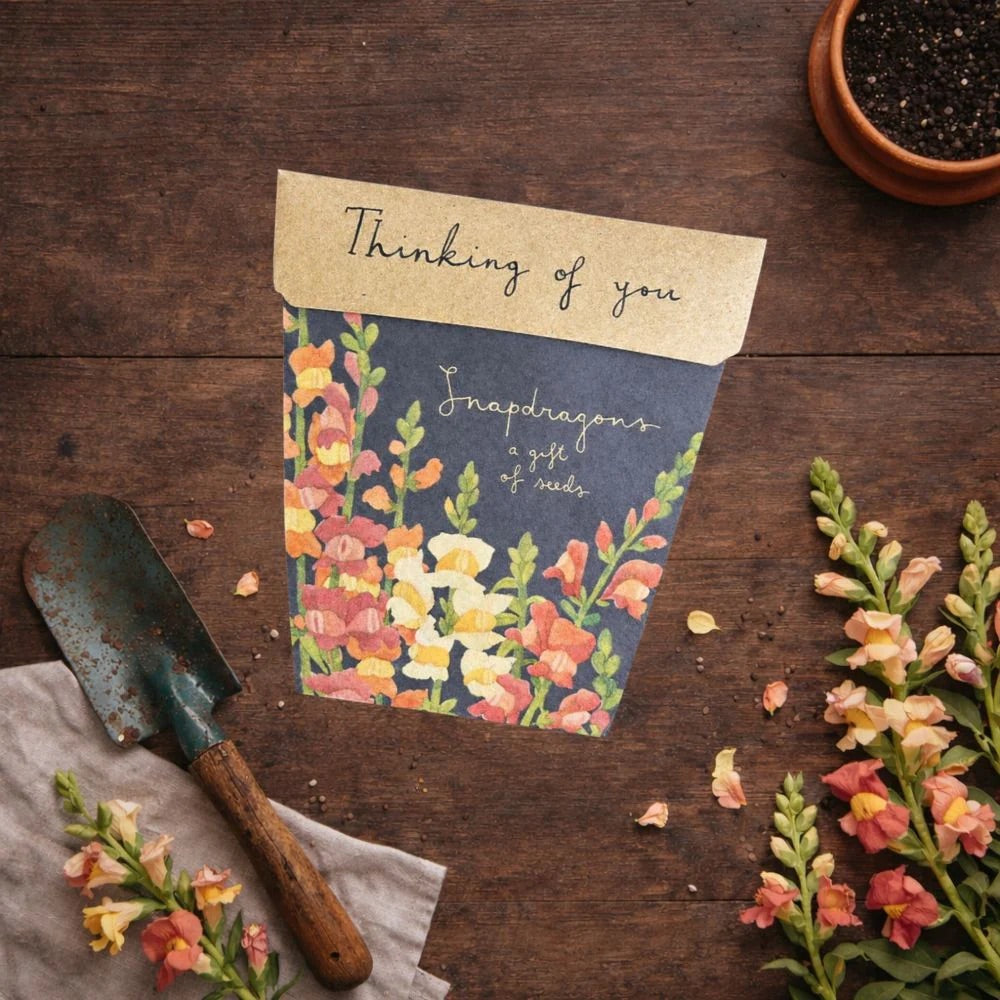 Sow ‘n’ Sow Seeds