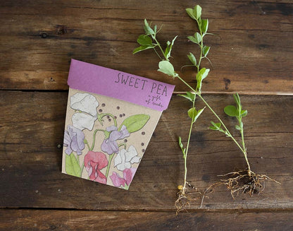 Sow ‘n’ Sow Seeds