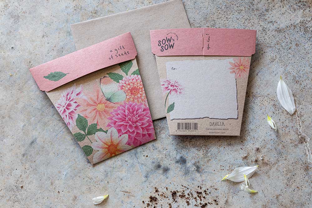 Sow ‘n’ Sow Seeds