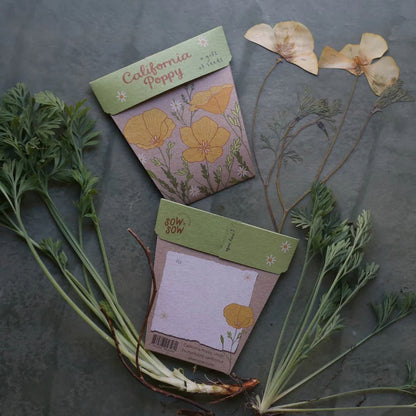 Sow ‘n’ Sow Seeds