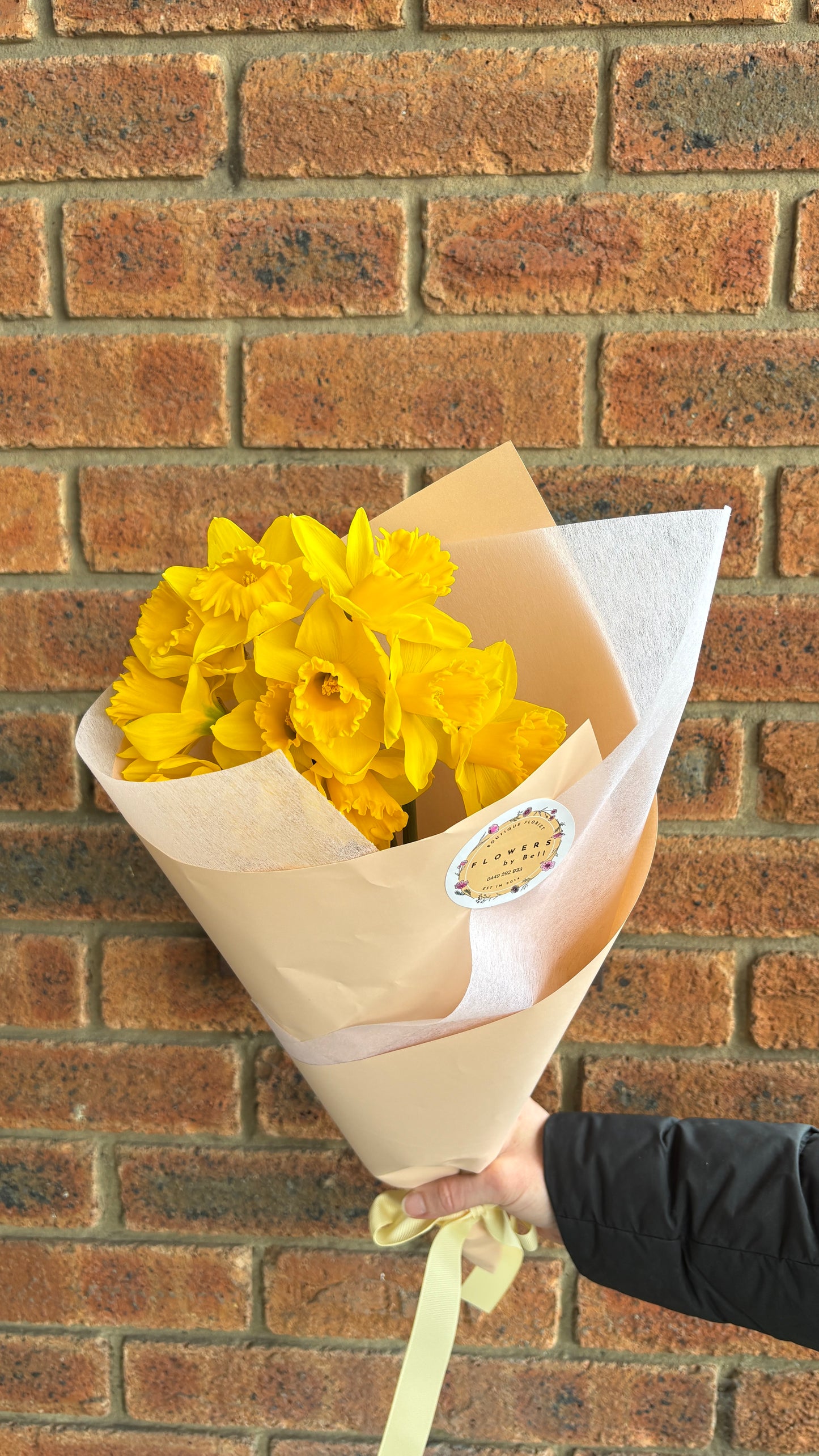 Daffodils 🌼 (Daffodil Day Only)